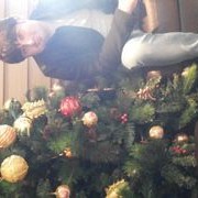 ���������� ����, ���� ������� Leon, 37 ���, ������������ ��� ������