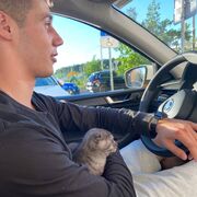 ���������� ������, ���� ������� �����, 27 ���, ������������ ��� ������, ����� � ���������, c�������� ���������, ���������