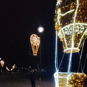 ���������� �������, ���� ������� ����, 39 ���, ������������ ��� ������, ����� � ���������