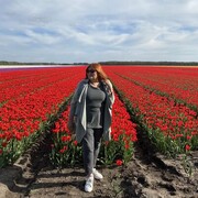 ���������� Hoogeveen, ���� ������� �������, 67 ���, ������������ ��� ����� � ���������, c�������� ���������