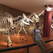 ���������� ��������������, ���� ������� Luke, 32 ����, ������������ ��� ������, ����� � ���������, c�������� ���������