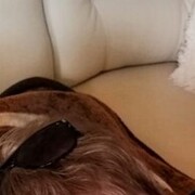 ���������� �����, ���� ������� �����, 54 ����, ������������ ��� ������, ����� � ���������, c�������� ���������