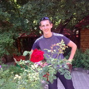 ���������� �����, ���� ������� �����, 33 ����, ������������ ��� ����� � ���������, c�������� ���������