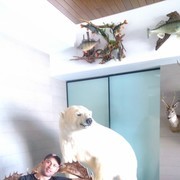 ���������� ������������, ���� ������� ������, 43 ����, ������������ ��� ����� � ���������, c�������� ���������