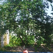  ,   , 40 ,   ,   , c , 