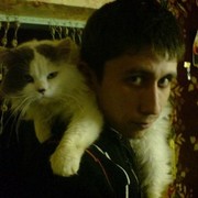  ,   , 34 ,   