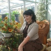  ,   Galconok, 36 ,   