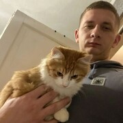 ���������� �����������, ���� ������� �����, 28 ���, ������������ ��� ������, ����� � ���������, c�������� ���������, ���������