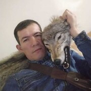 ���������� ������-��-����, ���� ������� ������, 41 ���, ������������ ��� c�������� ���������