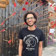 ���������� �������, ���� ������� �����, 33 ����, ������������ ��� ������, ����� � ���������, c�������� ���������