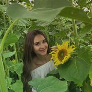 ���������� ��������, ������