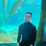 ,  northgin, 33
