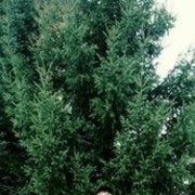  -,   , 36 ,   ,   , c 