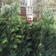 ���������� ���������, ���� ������� �����, 44 ����, ������������ ��� ������, ����� � ���������, c�������� ���������, ���������