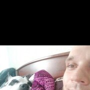 ���������� ��������, ���� ������� ����, 38 ���, ������������ ��� ������, ���������