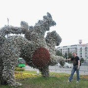  ,   , 58 ,   