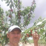 ���������� �����, ���� ������� ������, 58 ���, ������������ ��� ������, ����� � ���������, ���������