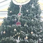 ���������� �����-���������, ���� ������� Sawa, 44 ����, ������������ ��� ������, ����� � ���������, c�������� ���������, ���������