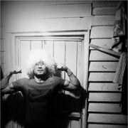 ���������� ������, ���� ������� �����, 43 ����, ������������ ��� ������, ����� � ���������