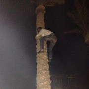 ���������� ����, ���� ������� �������, 45 ���, ������������ ��� ������, ���������