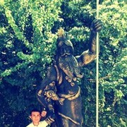  ,  murot, 37