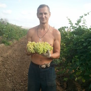 ���������� �����, ���� ������� ���, 55 ���, ������������ ��� ����� � ���������, c�������� ���������