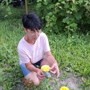  ,   , 52 ,   c 