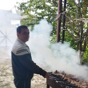 ���������� ���������, ���� ������� ������, 50 ���, ������������ ��� ������, ����� � ���������