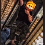  --,   , 31 ,   ,   , 
