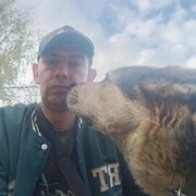 ���������� ������, ���� ������� �����, 31 ���, ������������ ��� ������, ����� � ���������, c�������� ���������, ���������