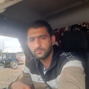  ,   Ant, 33 ,   ,   