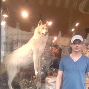 ���������� ����, ���� ������� ���������, 43 ����, ������������ ��� ������, ����� � ���������, c�������� ���������