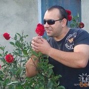 ���������� ������, ���� ������� ������, 38 ���, ������������ ��� ������, ����� � ���������, c�������� ���������