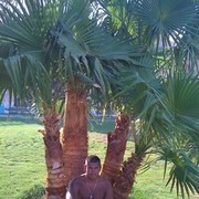 ���������� ����, ���� ������� ����, 42 ����, ������������ ��� ������