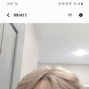  -,   , 51 ,     , c 