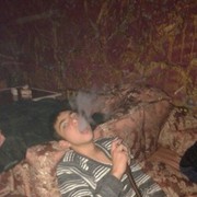  ,   Cxgfdsgds, 35 ,   