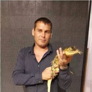  ,   , 41 ,   
