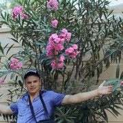  ,   , 29 ,   ,   , c 