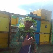 ���������� ��������, ���� ������� �����, 38 ���, ������������ ��� ������, ����� � ���������, c�������� ���������