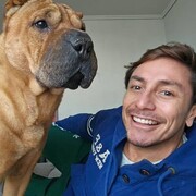 ���������� �����, ������� ���������, 36