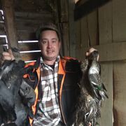 ���������� �����������, ���� ������� ������, 38 ���, ������������ ��� ������, ����� � ���������, c�������� ���������