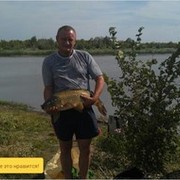  ,   , 56 ,   
