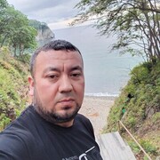 ���������� �����������, ���� ������� ���, 44 ����, ������������ ��� ������, ����� � ���������, c�������� ���������, ���������