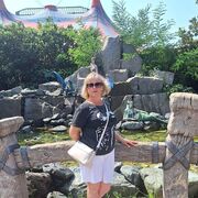 ���������� ���������, ���� ������� �������, 56 ���, ������������ ��� ����� � ���������, c�������� ���������