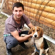 ���������� ������, ���� ������� ��������, 38 ���, ������������ ��� ������, ����� � ���������, c�������� ���������, ���������