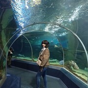  ,   , 48 ,   ,   , c 