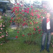  ,   , 58 ,   ,   