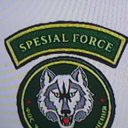 ���������� �������, ���� ������� ���, 55 ���, ������������ ��� ������, ����� � ���������, c�������� ���������