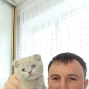  ,   , 44 ,  