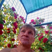  ,   , 50 ,     , c 